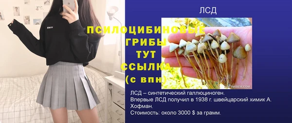 дживик Новокубанск