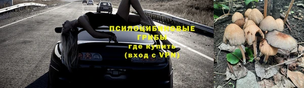 марки lsd Новозыбков