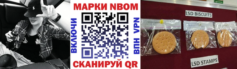 мега зеркало  darknet как зайти  Марки NBOMe 1500мкг  купить наркотик  Северобайкальск 